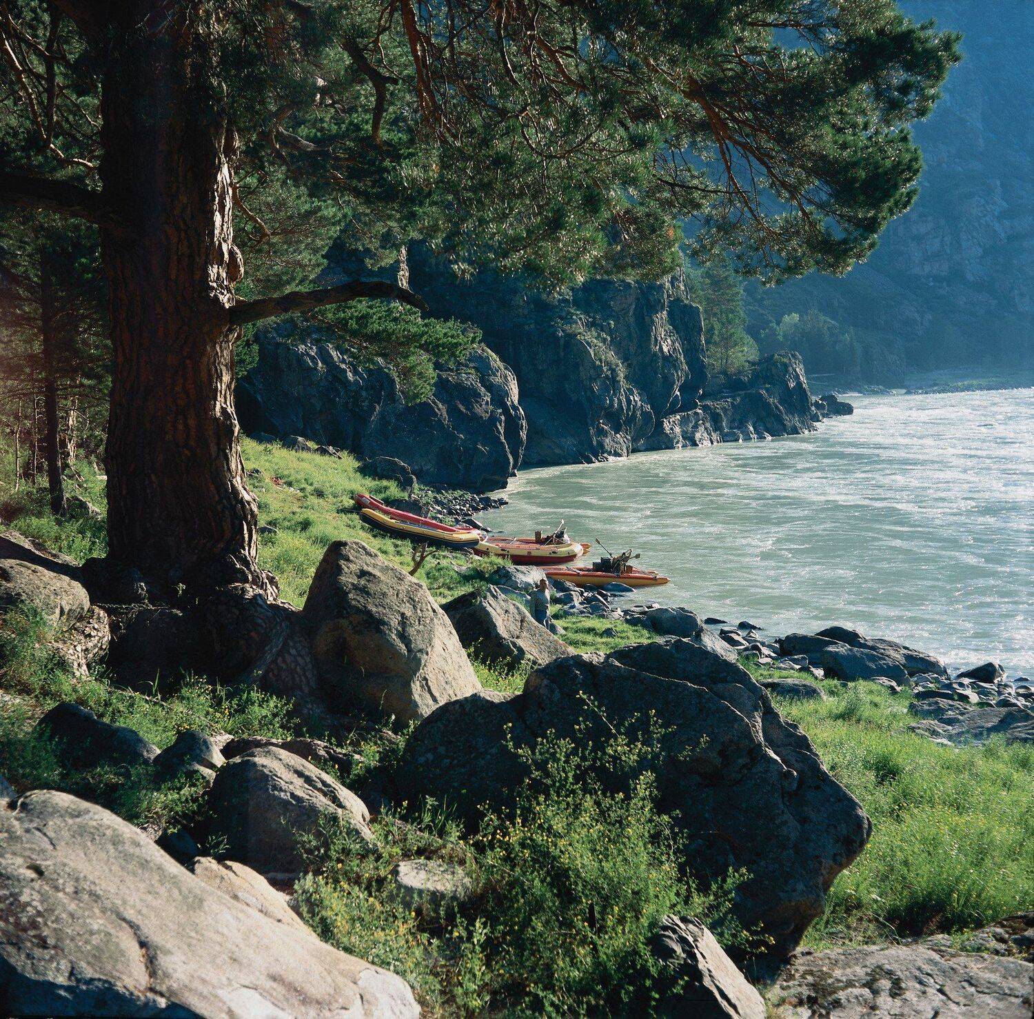 рафт, сосна, три обхвата, река, сплав, Катунь, Алтай, скалы, камни, Дмитрий Ткаченко