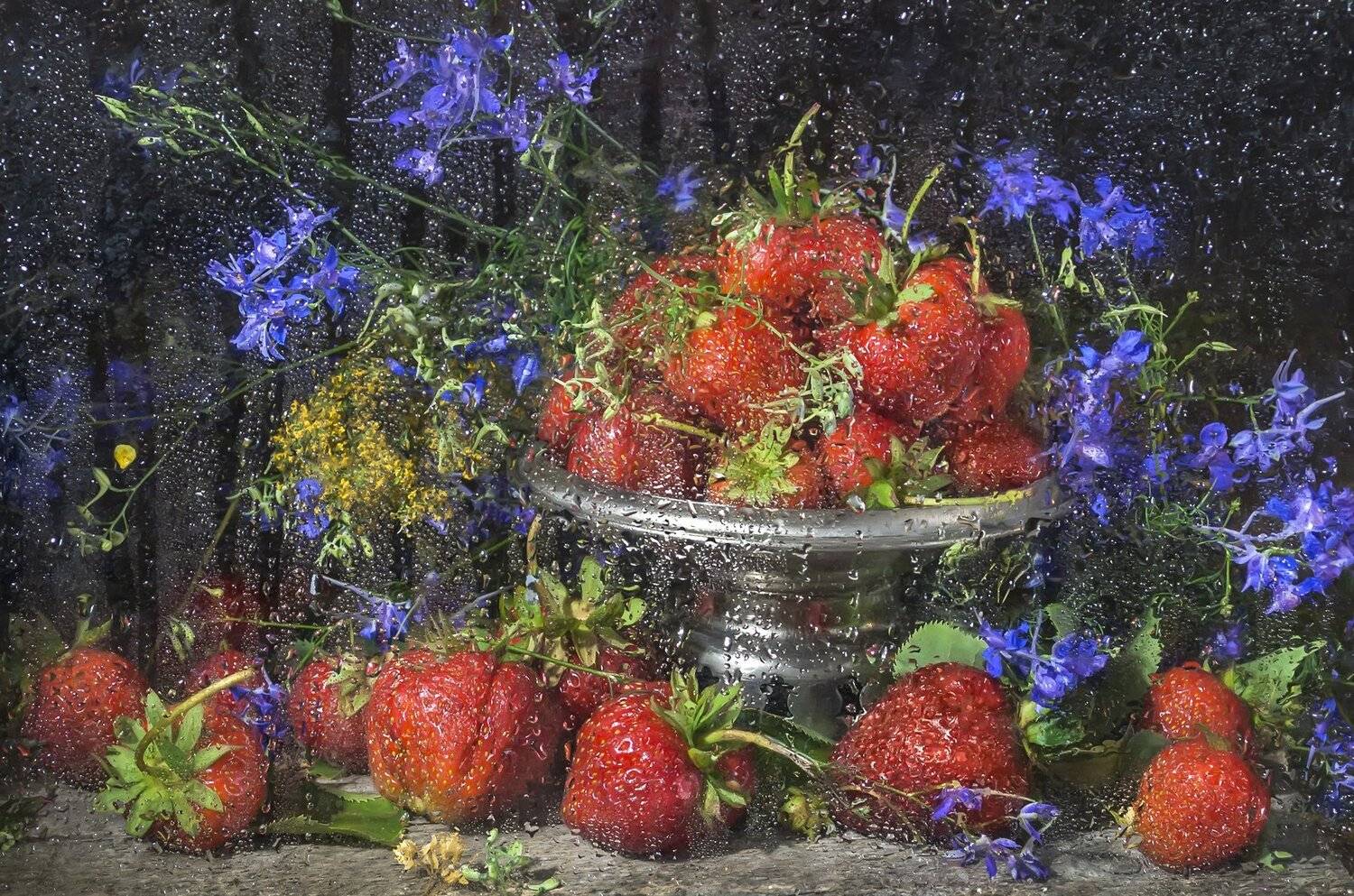 клубника,ягода,лето,капли,цветы,вкусная, Владимир Володин