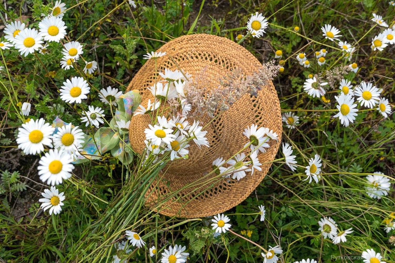 , Татьяна Рутковская