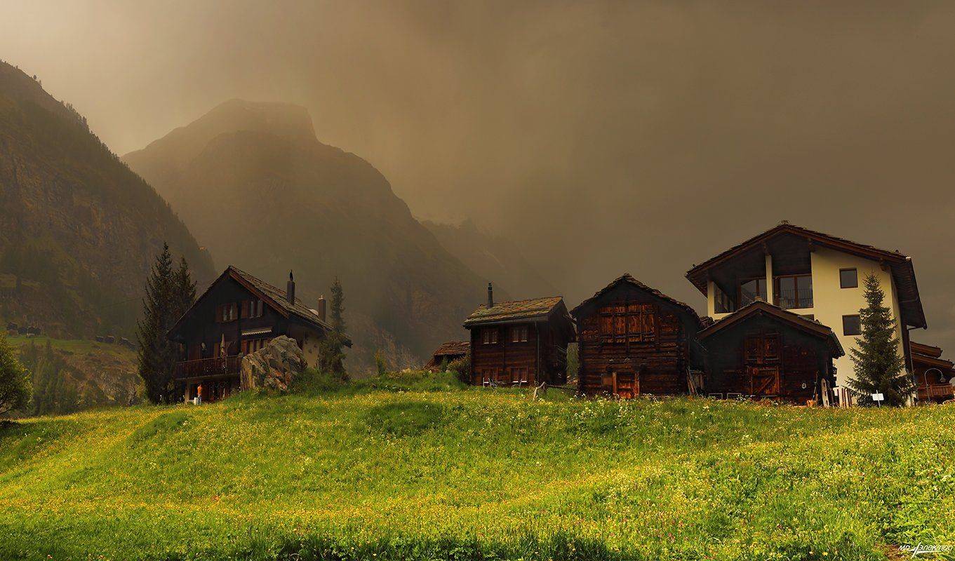 swiss, Матвеев Николай