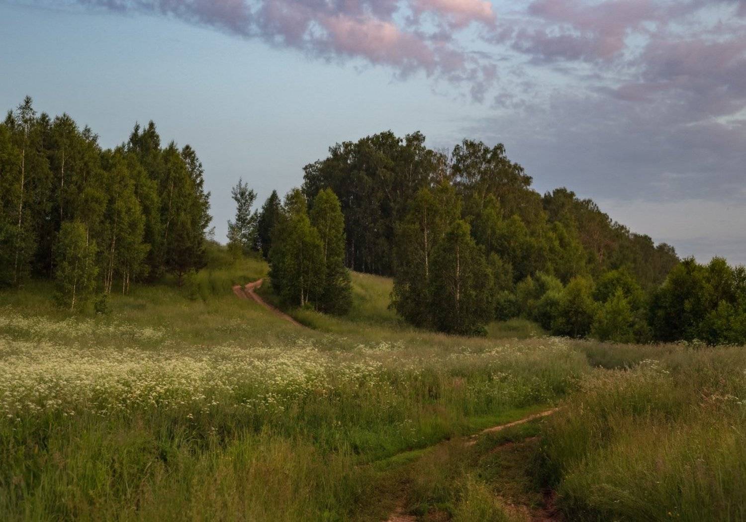 утро  состояние пейзаж обобщение, Дмитрий Алексеев