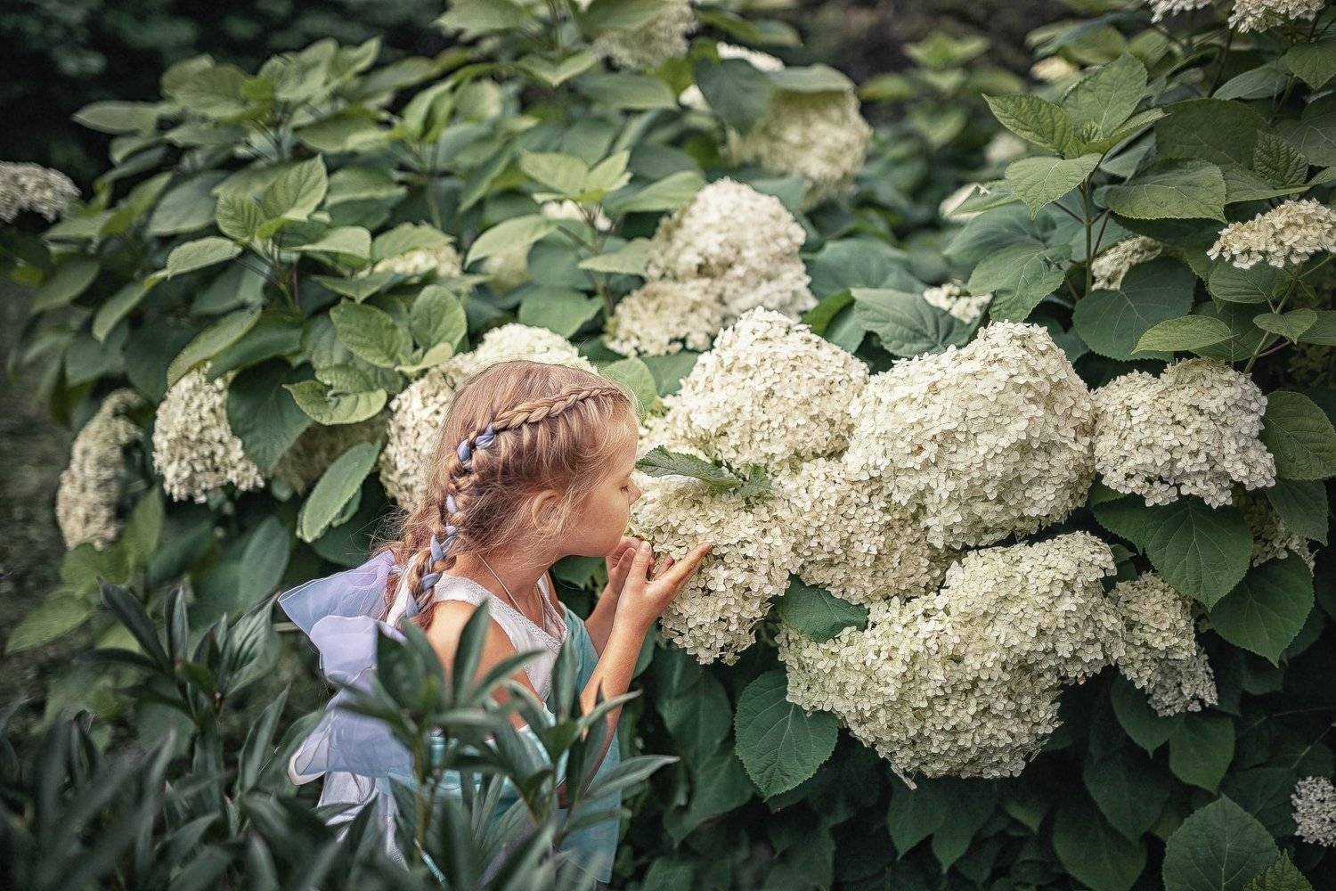 , Надежда Антонова