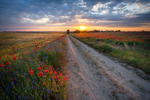 Road of Hope