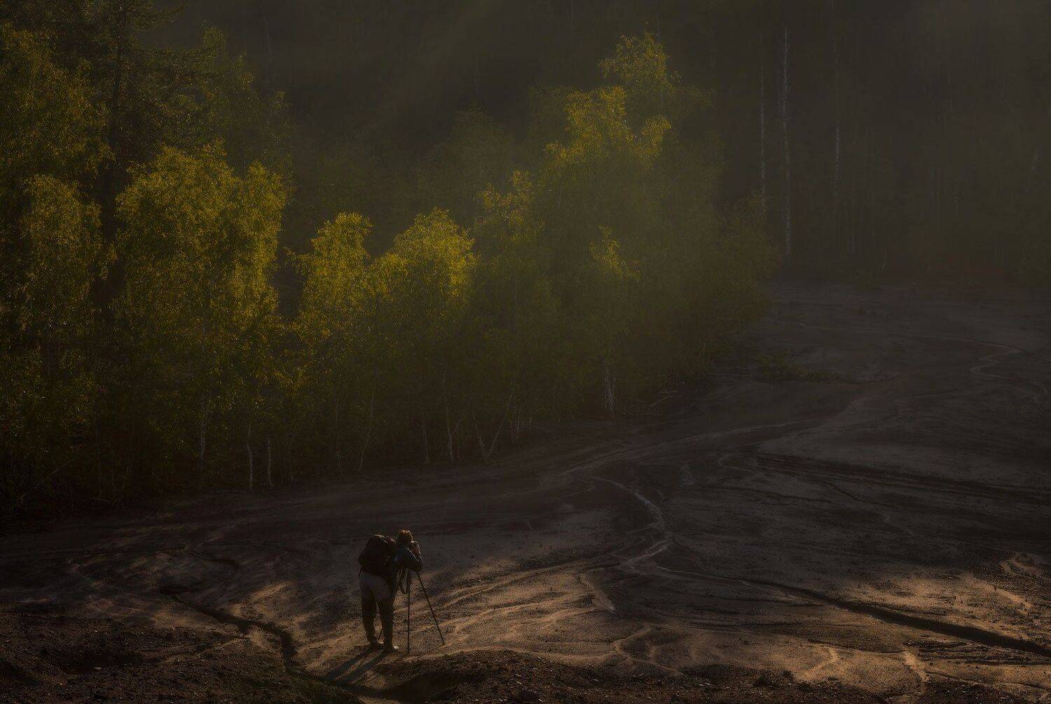 , Виталий Левыкин