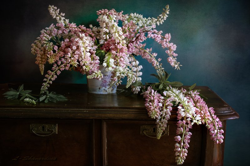 Люпины фото превью