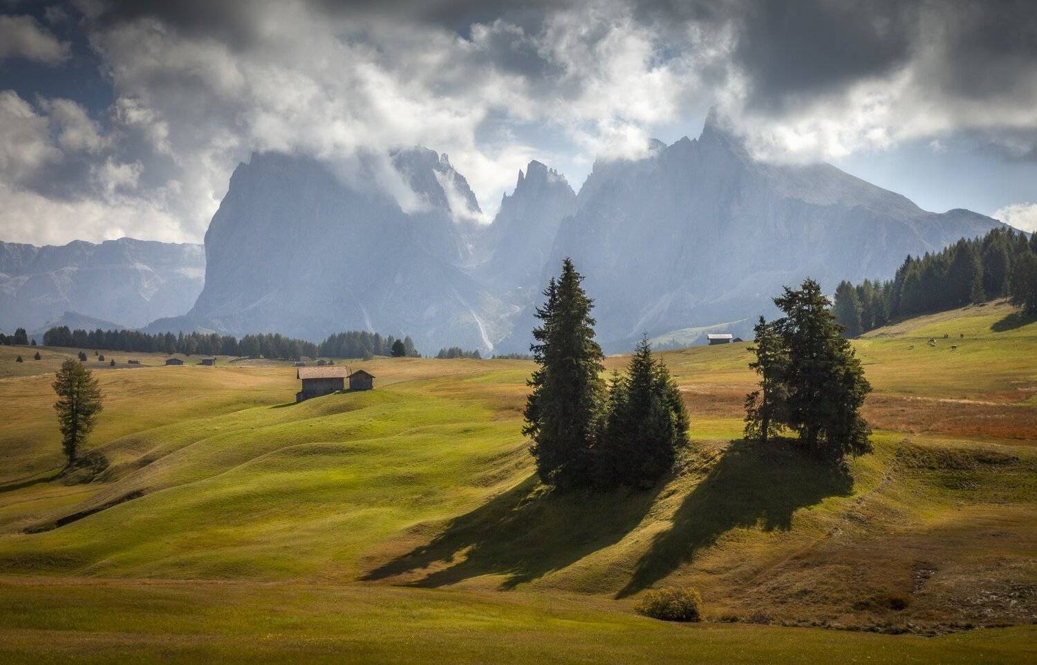 поля, горы, Александр Безмолитвенный