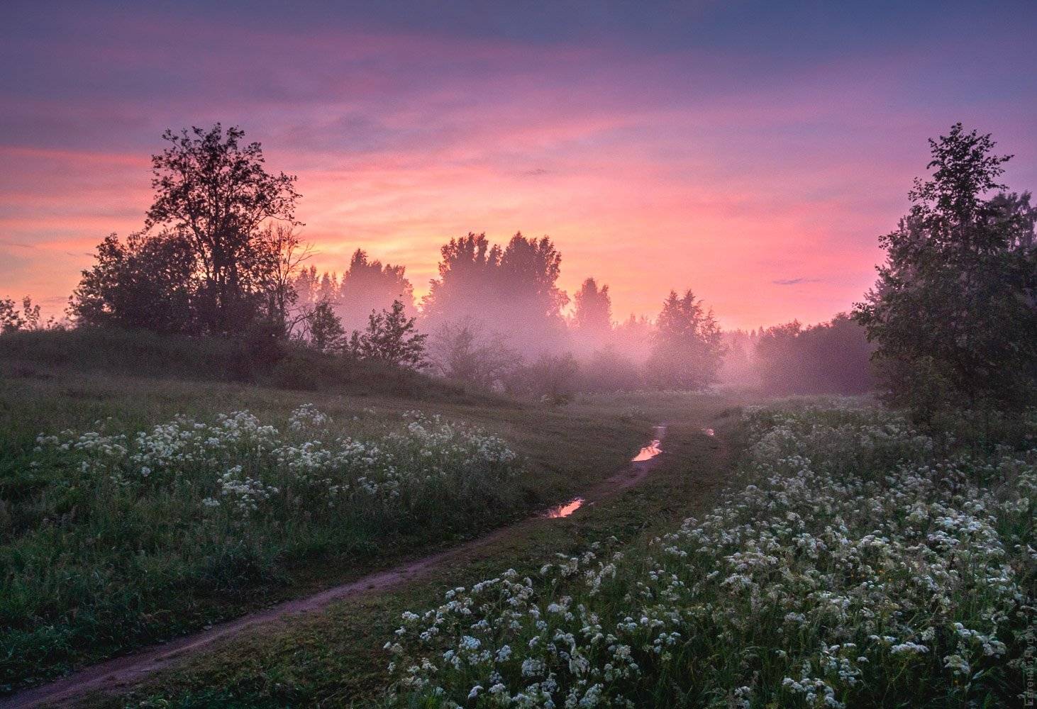 , Евгений Луцко