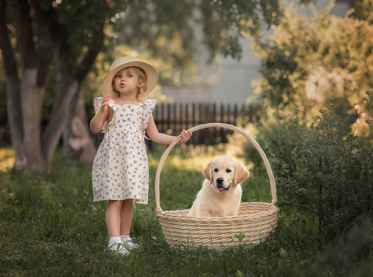 , Виктория Дубровская