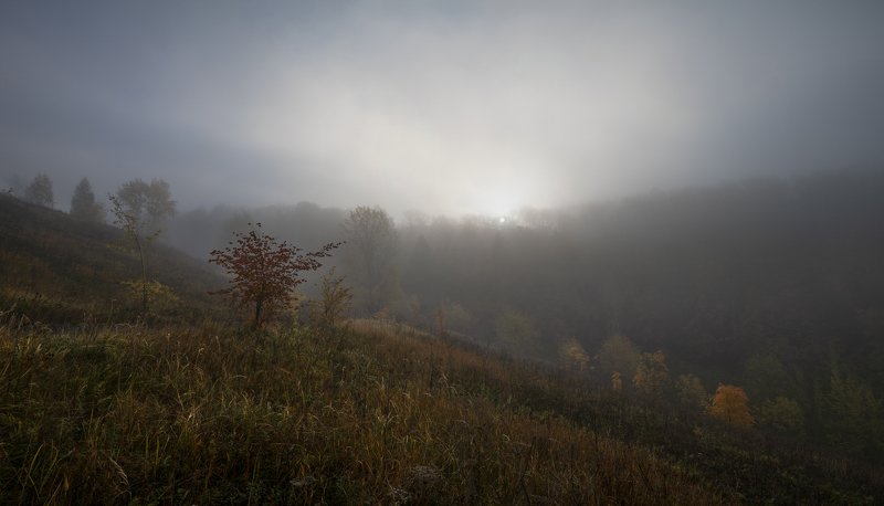 Утро. фото превью