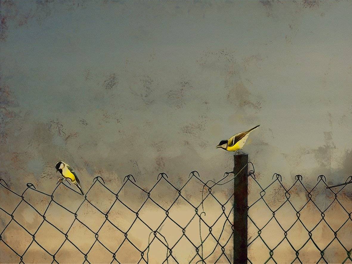 , T. Bondarenko