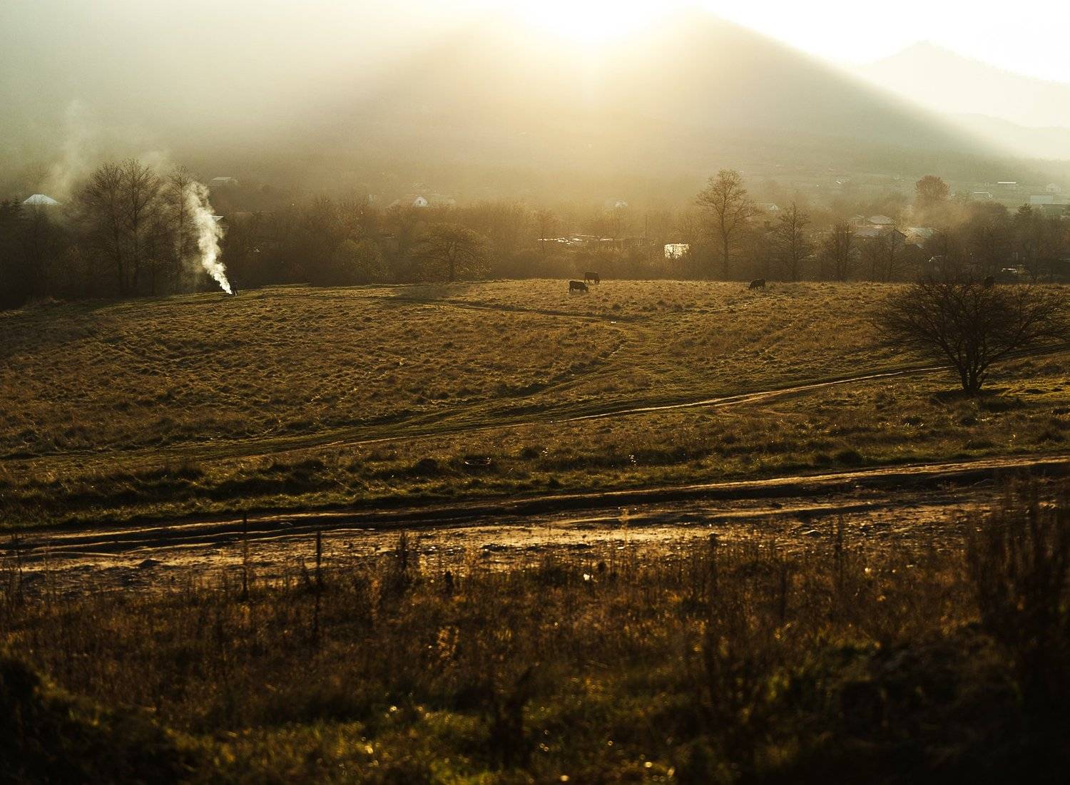 , Батраз Табуев