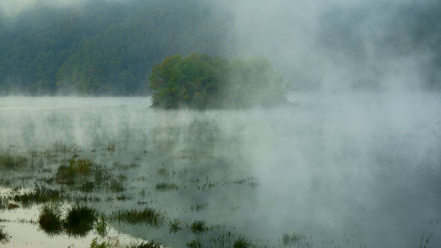 south korea, jeollabukdo, autumn, mroning, lake, fog, tree, fantastic, beautiful, island, mountain,, Shin