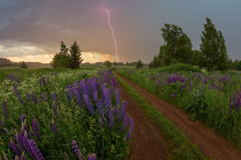 Гроза ..) фото превью