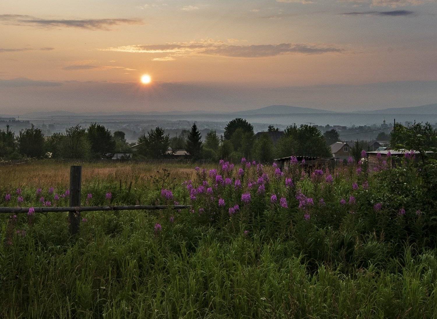 , Александр  Швачко