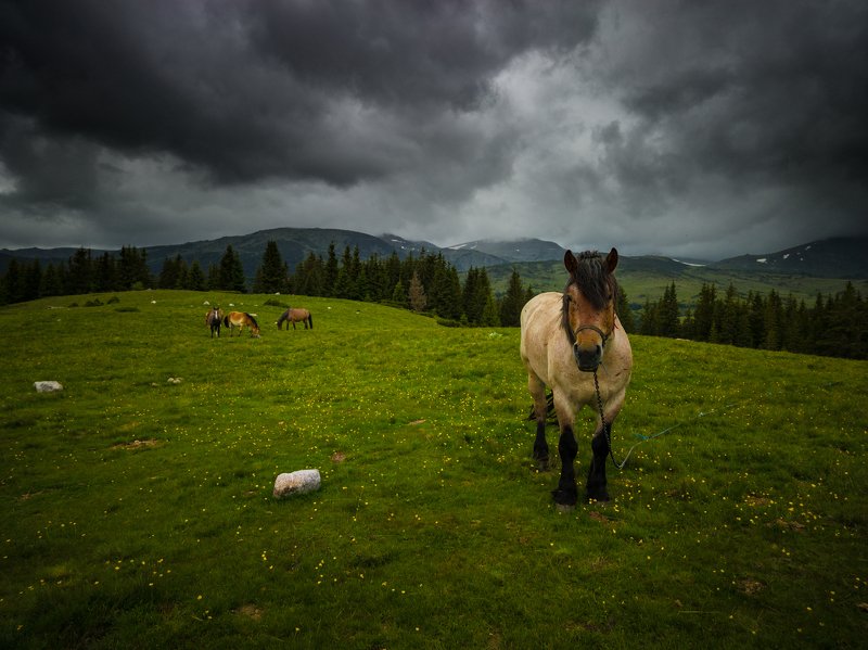 Highlands фото превью