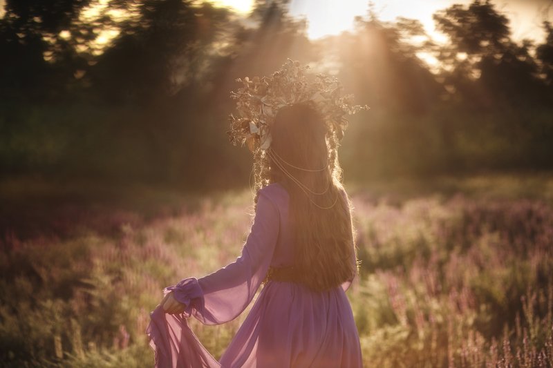шалфей рассвет корона своими руками  Аромат шалфея  фото превью