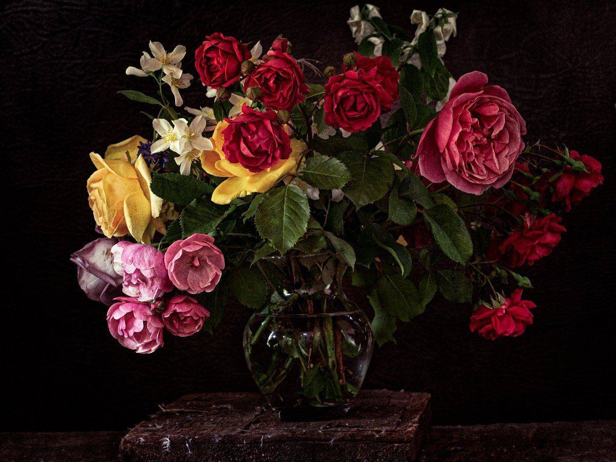 , Татьяна Аверина