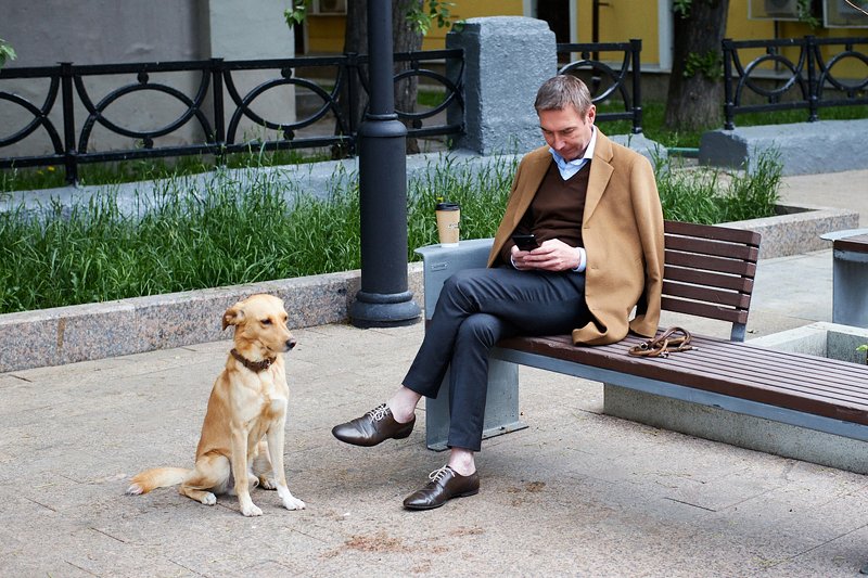 стрит, собака, друг, человека Друзья фото превью