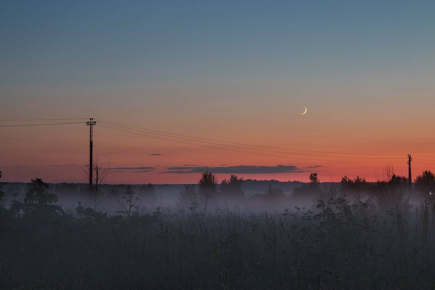 , Александр