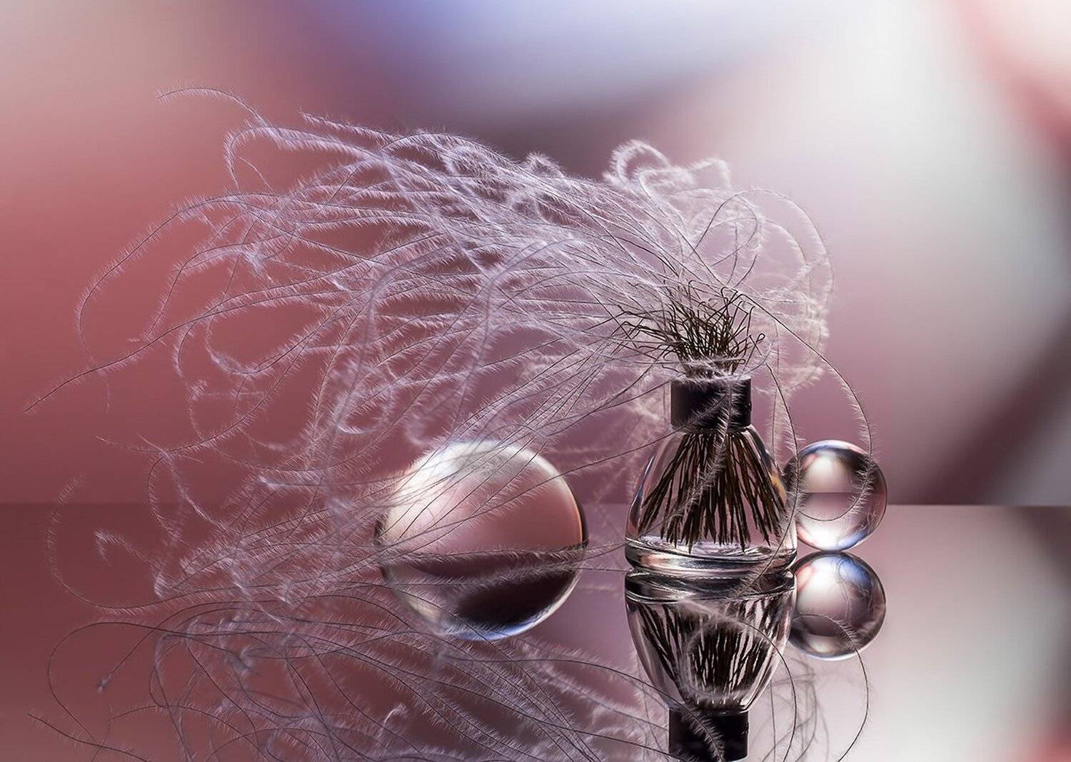 , Евгений Попов