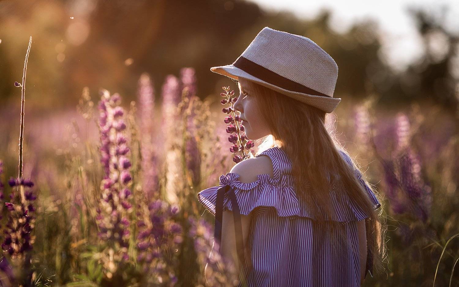 девочка, фотосессия, лето, прогулка, репортаж, little girl, summer, portrait, портрет, люпины, закат, sunset, Владимир Васильев