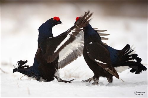 Секретный приём