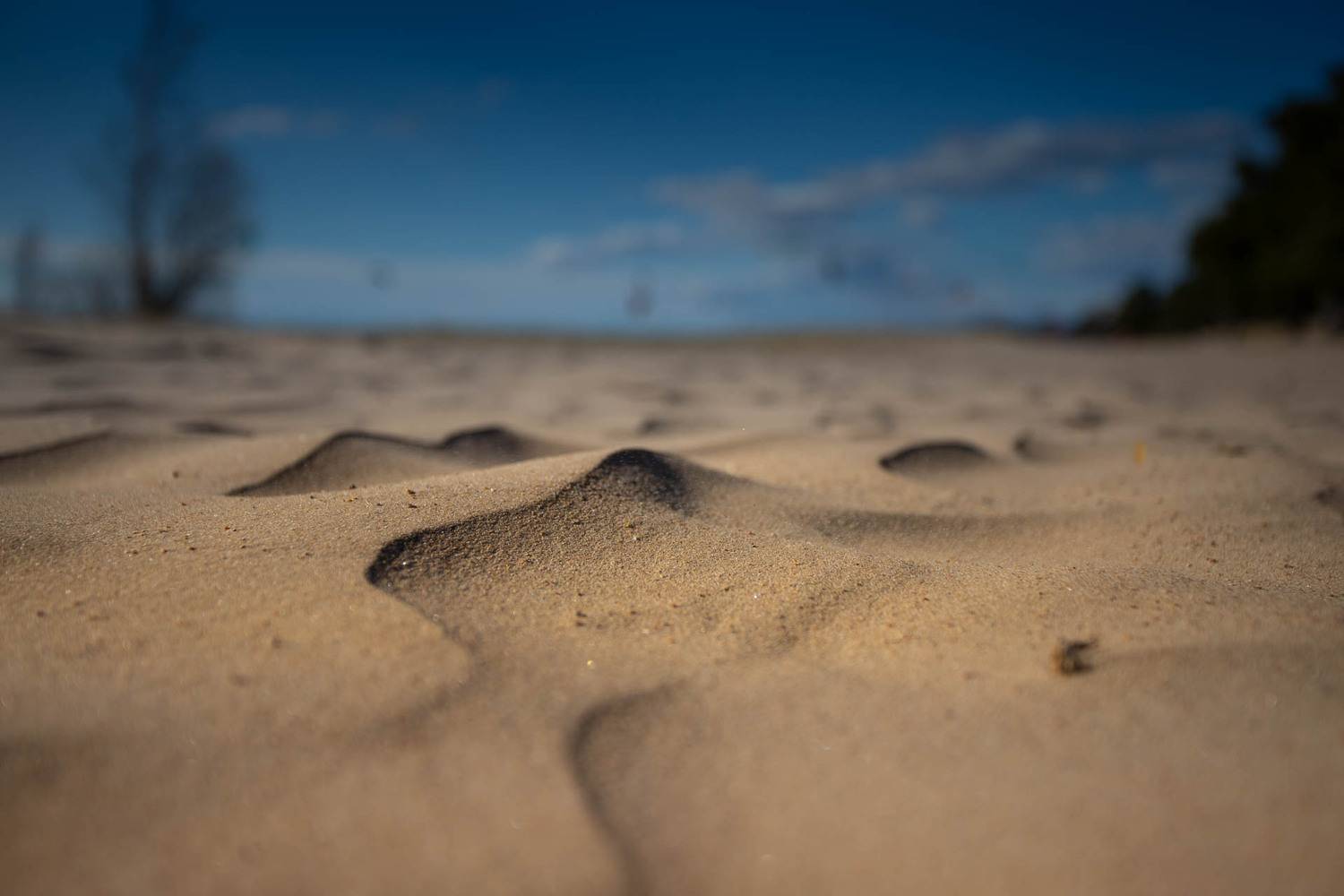 , Елена Маковоз