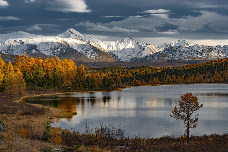 алтай,горный алтай,осень,закат,киделю Краски осеннего Алтая фото превью