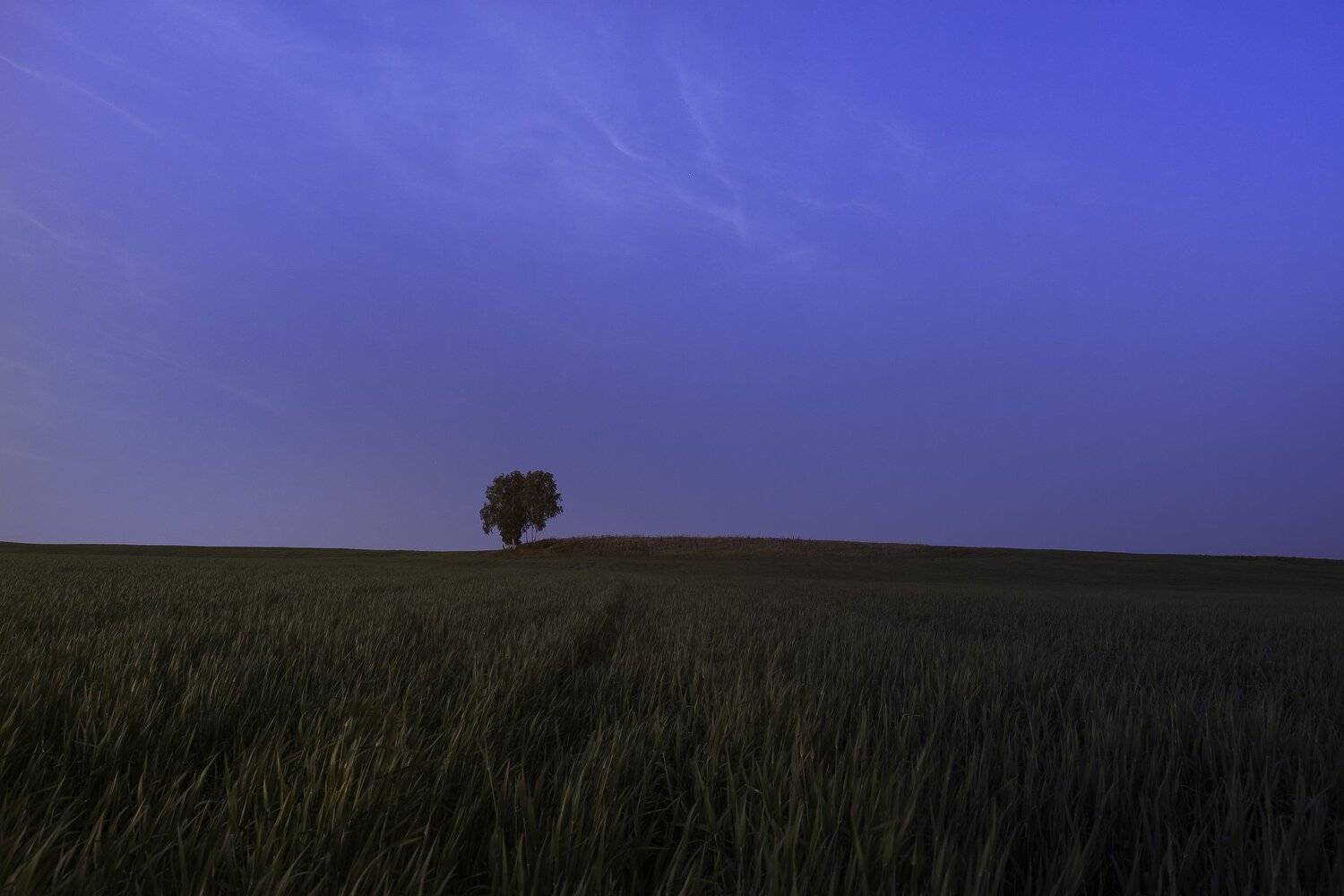 , Андрей Шарапов