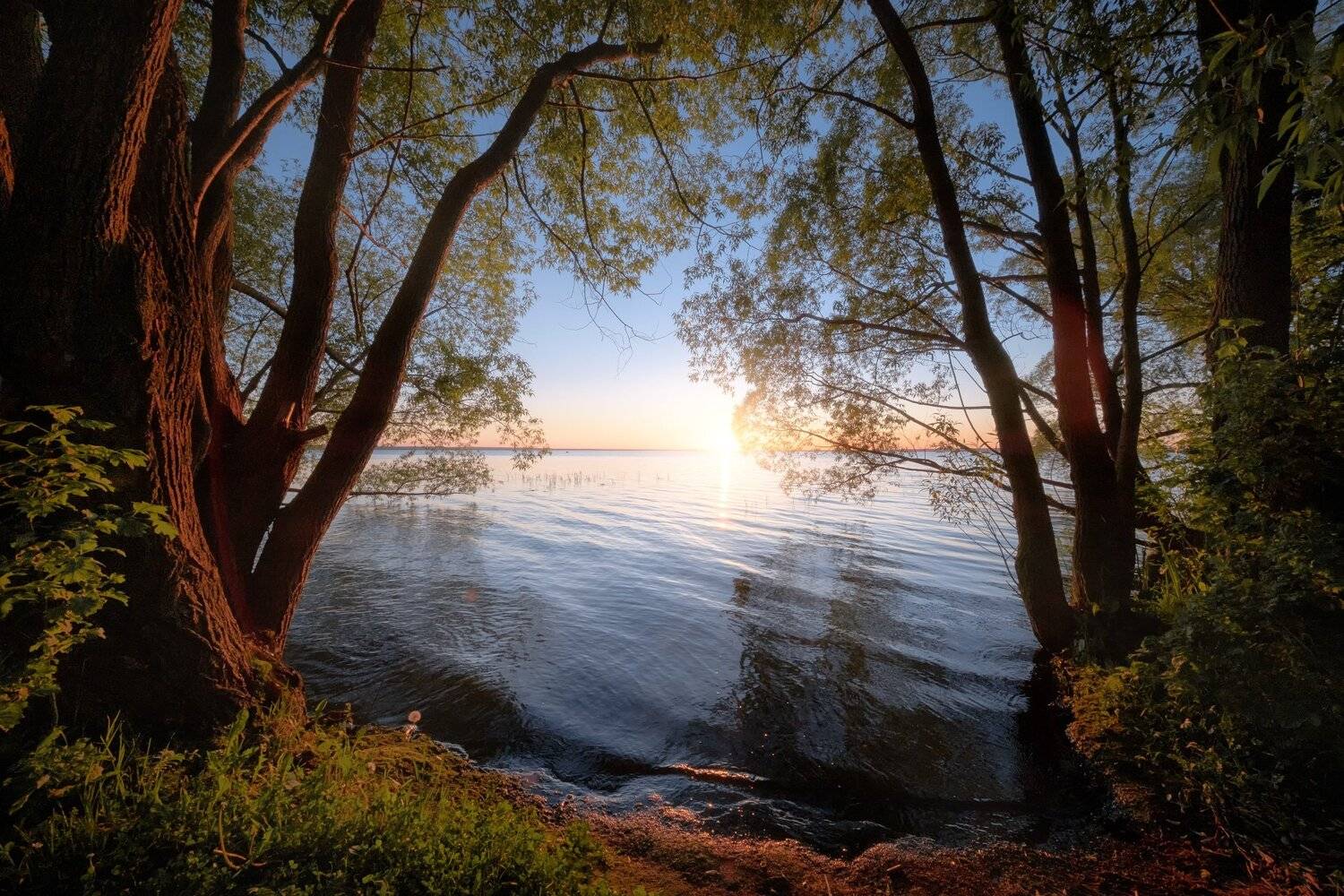 плещеево, озеро, закат, деревья, вода, небо, отражения, Андрей Чиж