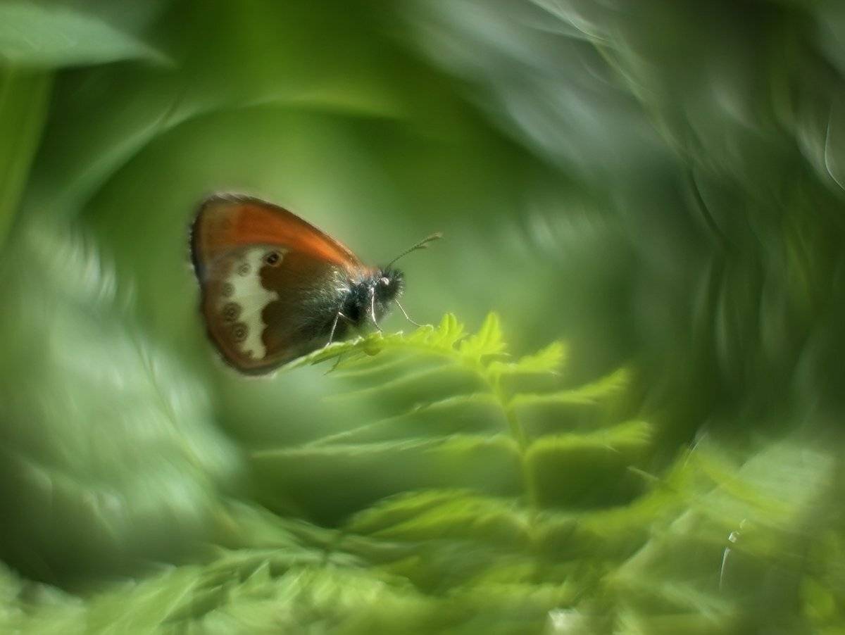 , Галина Горькавая