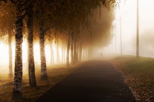 Туман в городе.