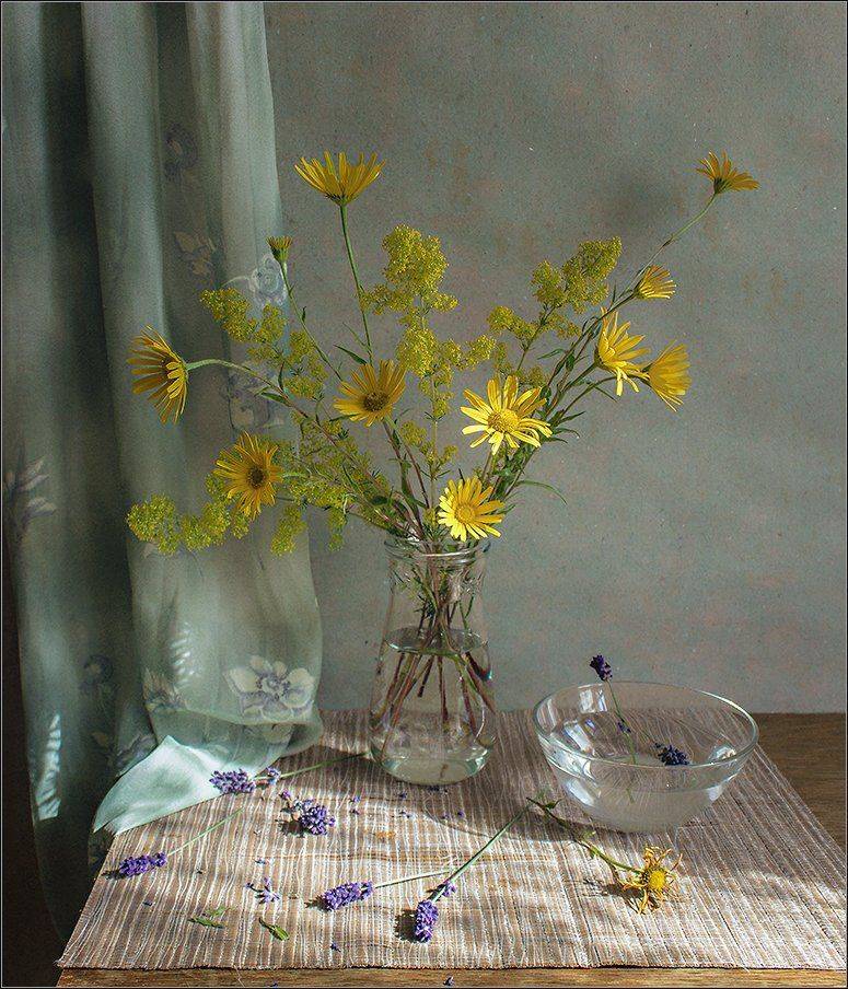 , Stein Georg