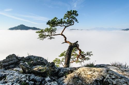 Tatras and Pieniny mountains