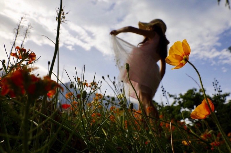 фото превью