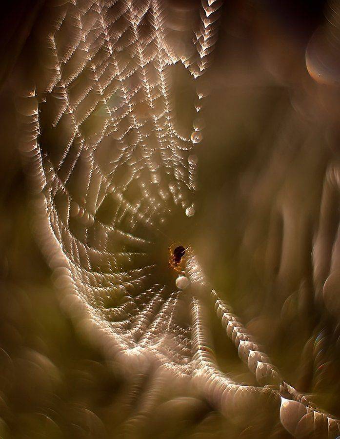 , Галина Горькавая