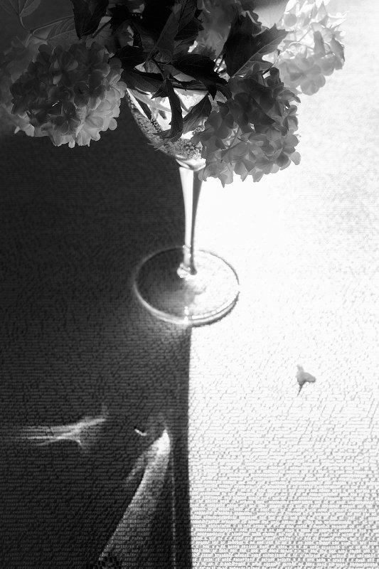 Единство света и тени фото превью