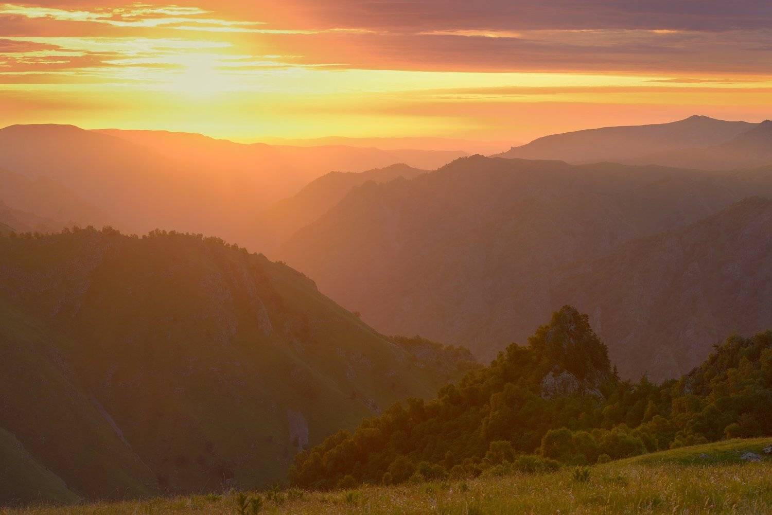 , Александр Жарников