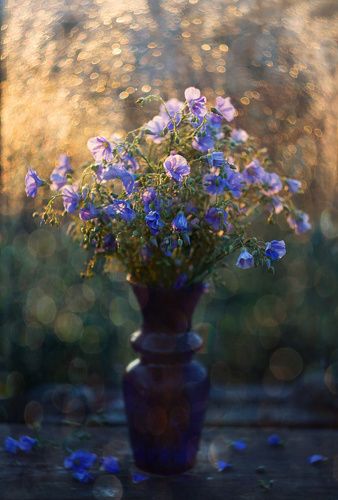 Лён...