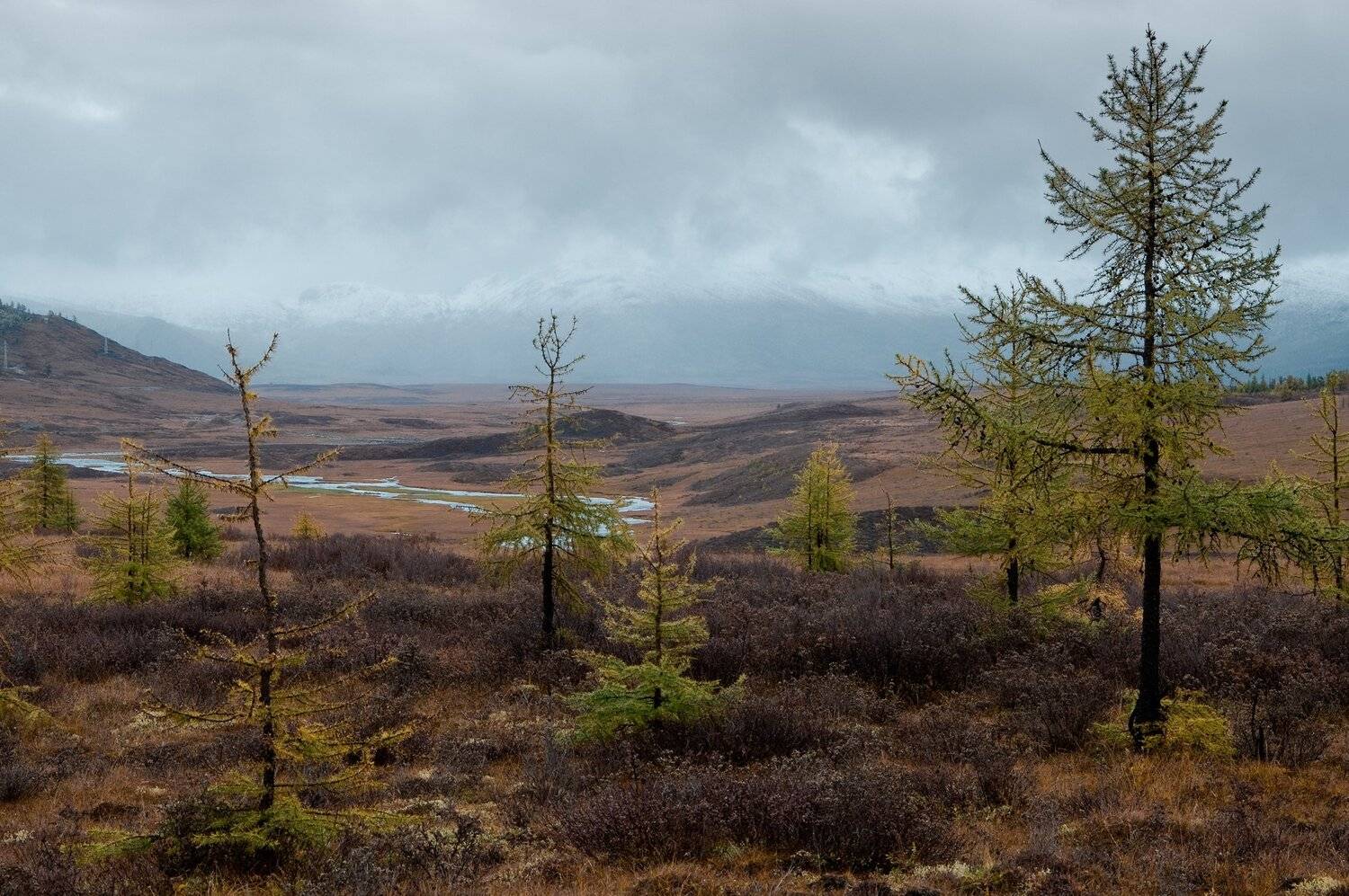 , Борис Леваков