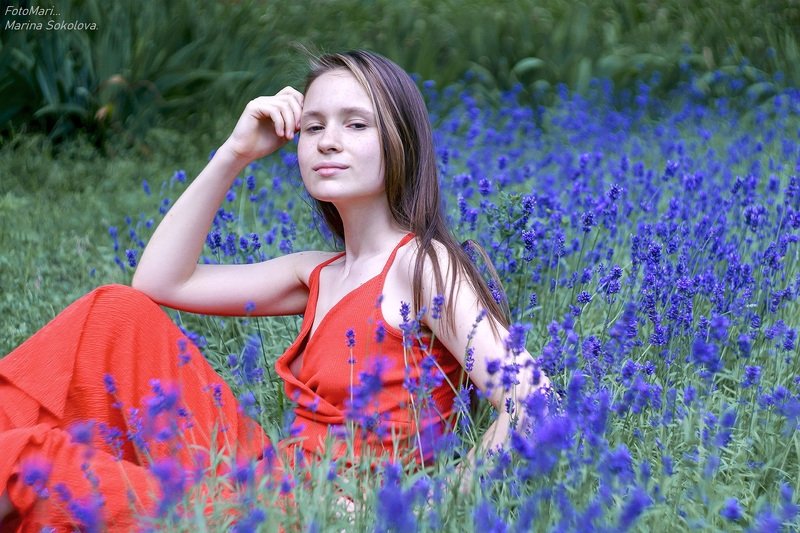 Лилия и лаванда. фото превью