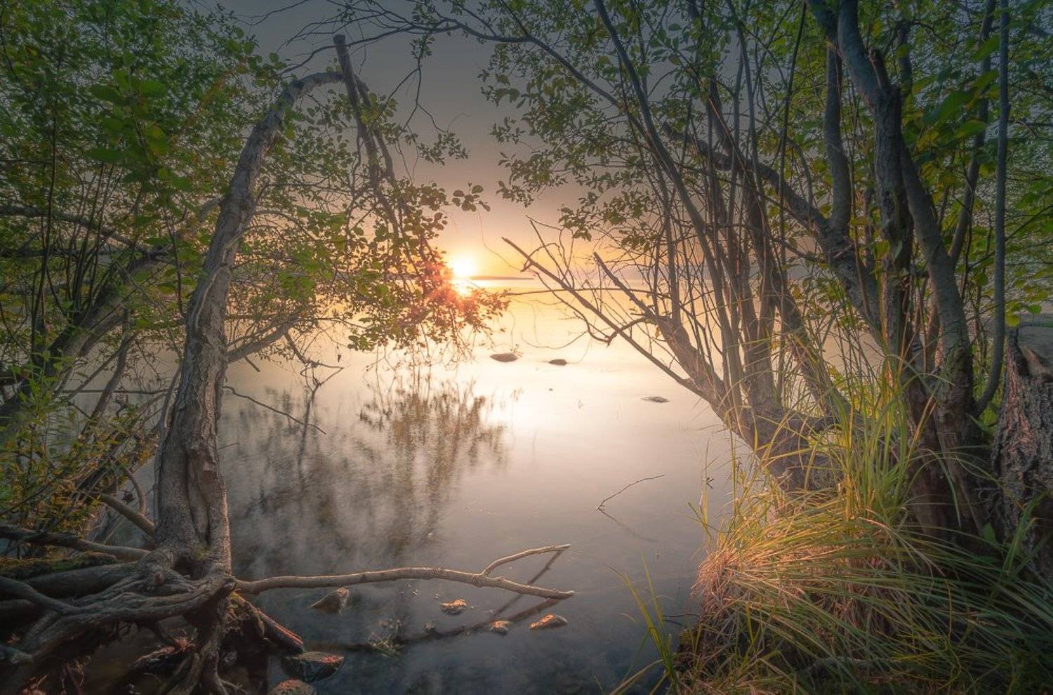 , Светлана Морозова