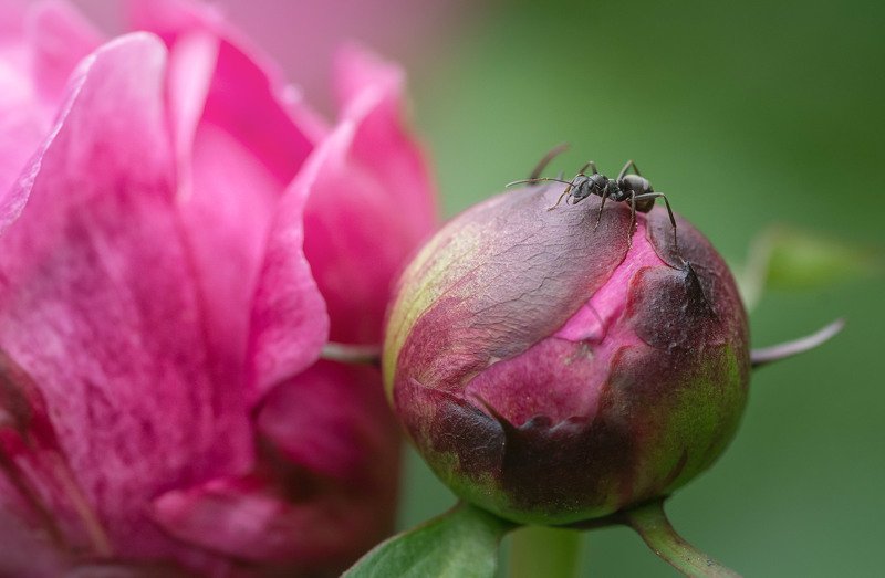 Про жизнь на других планетах фото превью