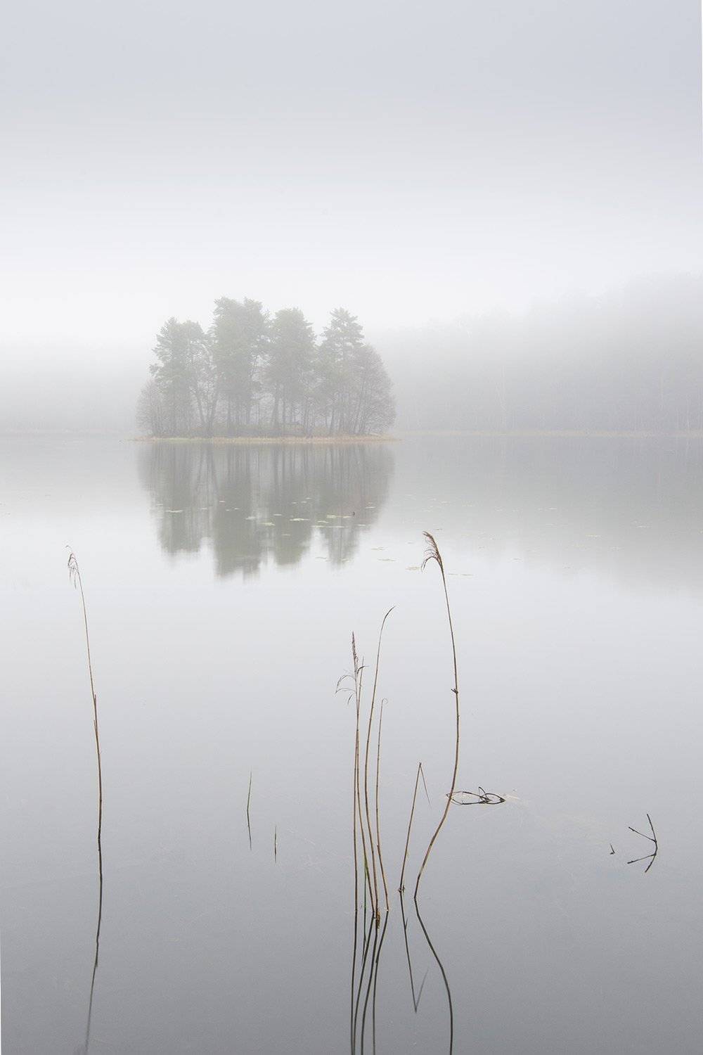 , Федотов Антон