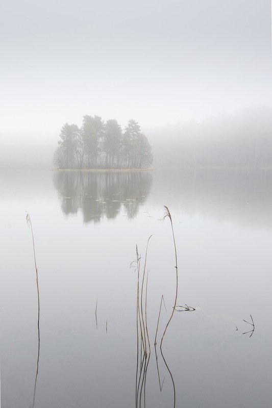 Туманный островок фото превью