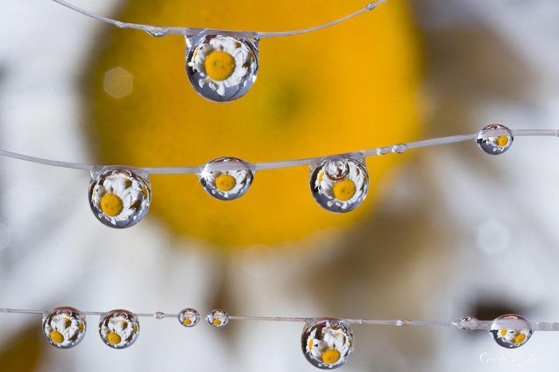 Бусы фото превью