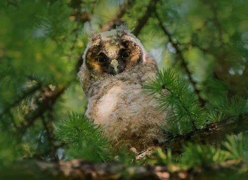 взглядом говорит..