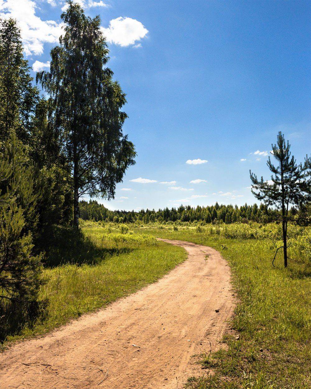 , Алексей Герасимов