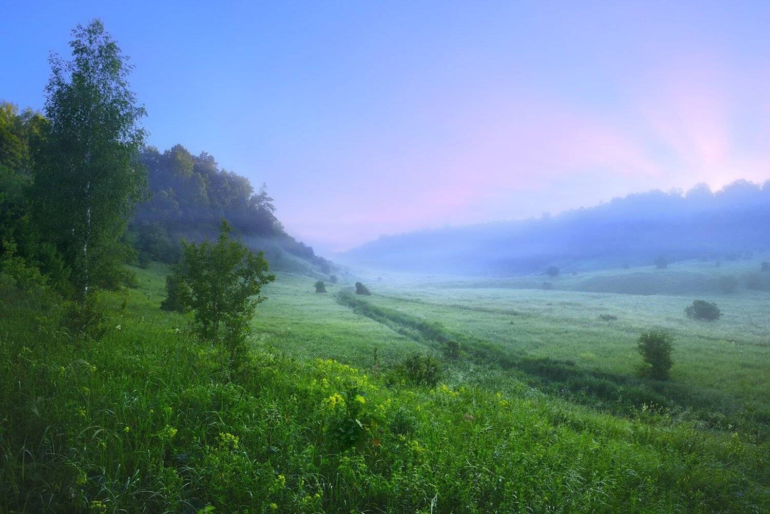 , Александр Тормосин