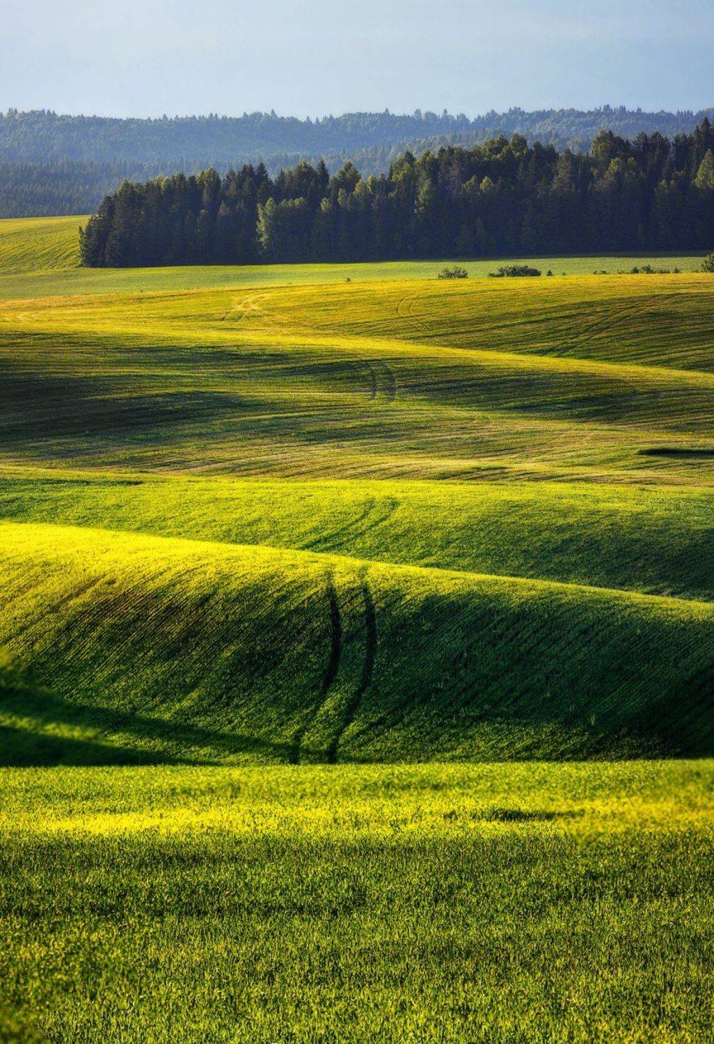 удмуртия, поля, пейзаж, холмы, утро, пейзаж, шаркан, шарканский район, Vyacheslav Lozhkin
